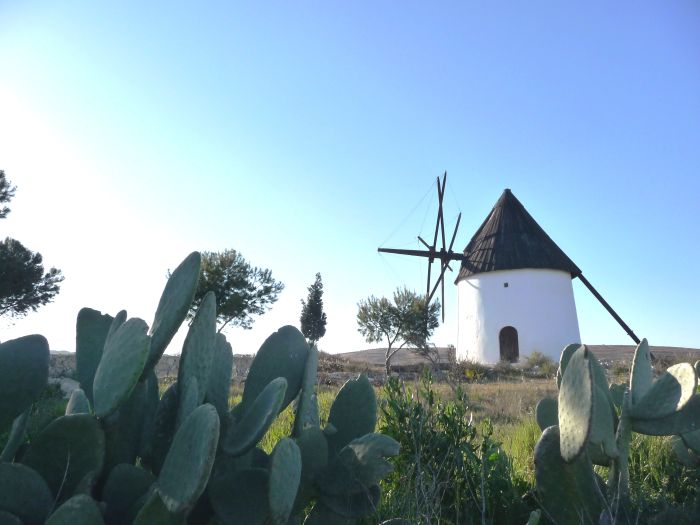 Balades en étoile à Cabo de Gata