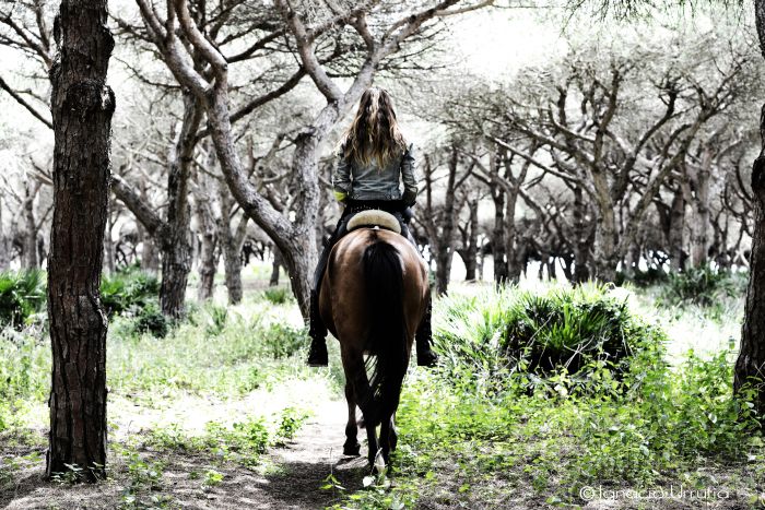 Vacances à cheval à Tarifa