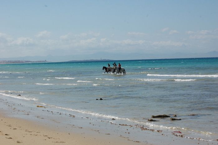 Vacances à cheval à Tarifa