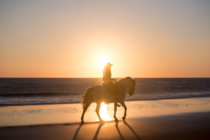 Vacances à cheval à Tarifa