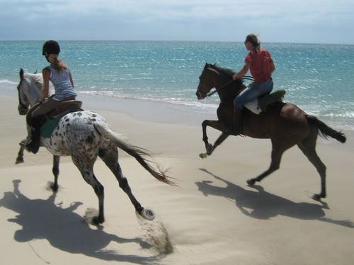 Vacances à cheval à Tarifa