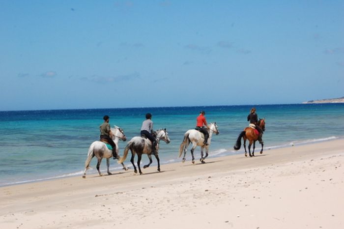 Vacances à cheval à Tarifa