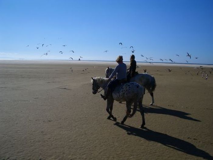 Vacances à cheval à Tarifa