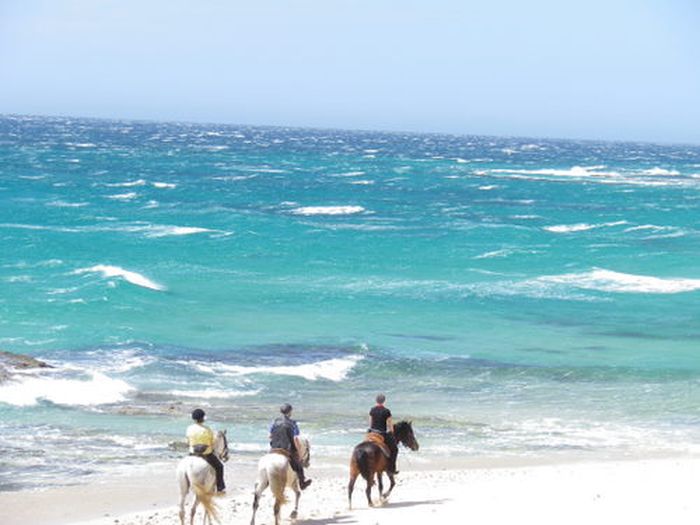 Vacances à cheval à Tarifa