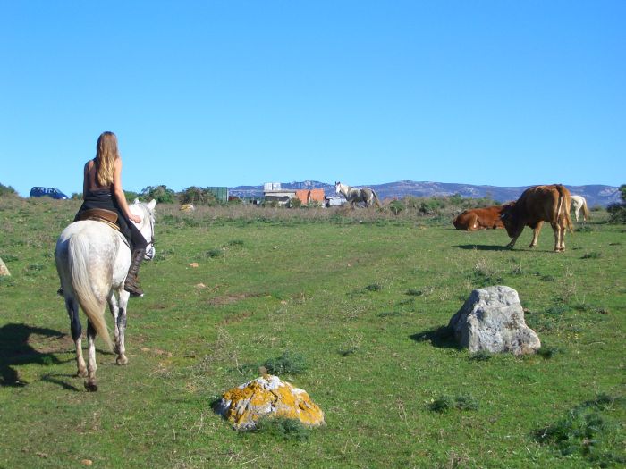 Vacances à cheval à Tarifa