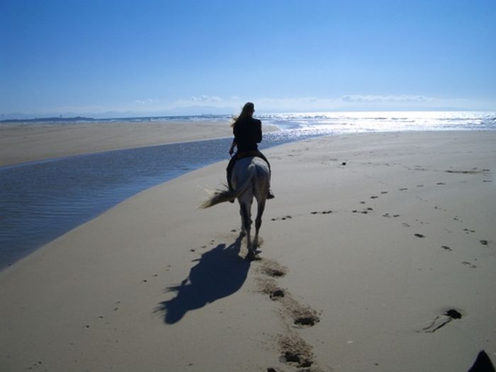 Vacances à cheval à Tarifa