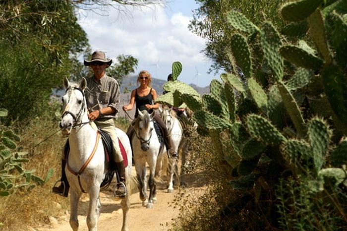 Vacances à cheval à Tarifa