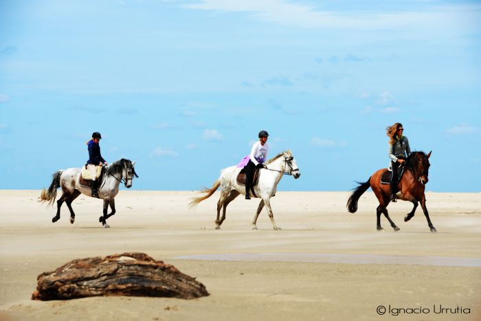 Vacances à cheval à Tarifa