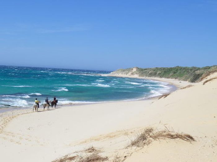 Vacances à cheval à Tarifa