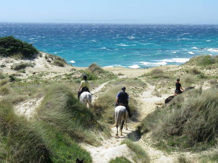 Vacances à cheval à Tarifa