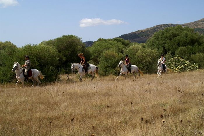 Vacances à cheval à Tarifa
