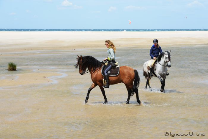 Vacances à cheval à Tarifa