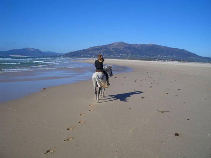 Vacances à cheval à Tarifa