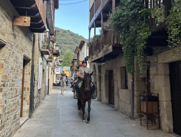 Camino de Santiago - Chemin de Saint-Jacques-de-Compostelle