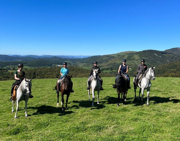 Camino de Santiago - Chemin de Saint-Jacques-de-Compostelle