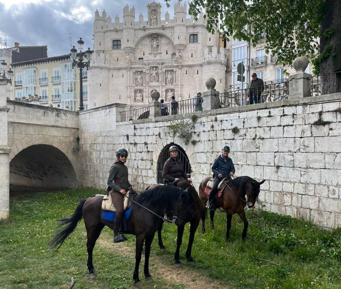 Camino de Santiago - Chemin de Saint-Jacques-de-Compostelle