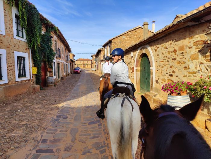 Camino de Santiago - Chemin de Saint-Jacques-de-Compostelle