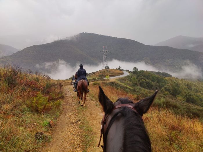 Camino de Santiago - Chemin de Saint-Jacques-de-Compostelle