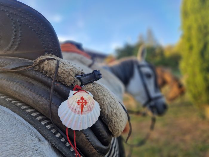 Camino de Santiago - Chemin de Saint-Jacques-de-Compostelle