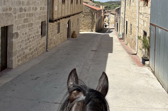 Camino de Santiago - Chemin de Saint-Jacques-de-Compostelle