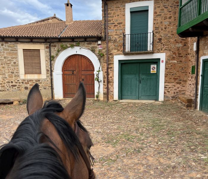 Camino de Santiago - Chemin de Saint-Jacques-de-Compostelle