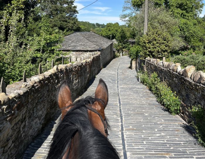 Camino de Santiago - Chemin de Saint-Jacques-de-Compostelle
