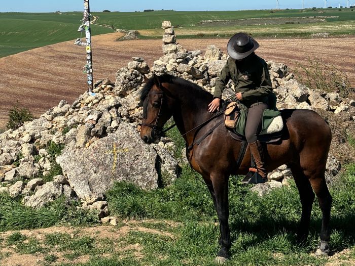 Camino de Santiago - Chemin de Saint-Jacques-de-Compostelle