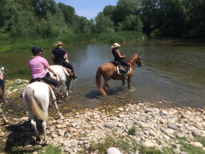 Cattle Drive