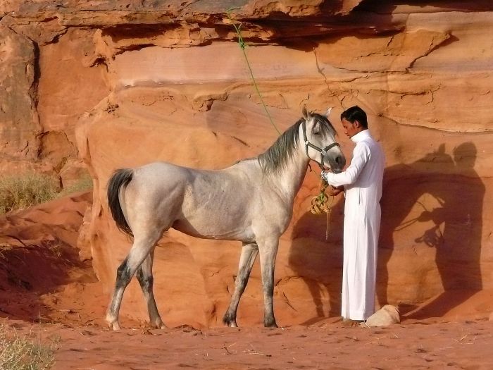 Wadi Rum - le désert le plus spectaculaire du monde
