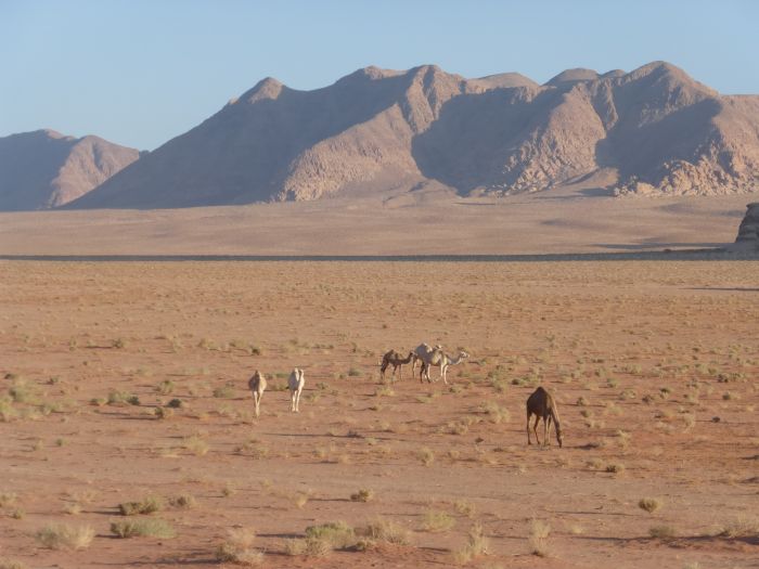 Wadi Rum - le désert le plus spectaculaire du monde