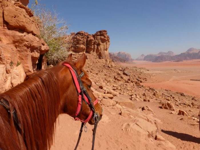 Wadi Rum - le désert le plus spectaculaire du monde