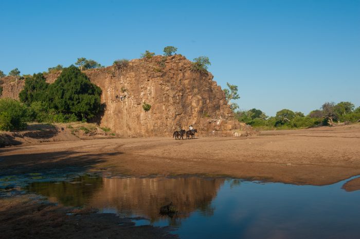 Le pays des géants - Tuli Riding Safari Botswana