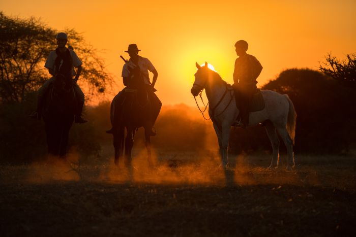 Le pays des géants - Tuli Riding Safari Botswana