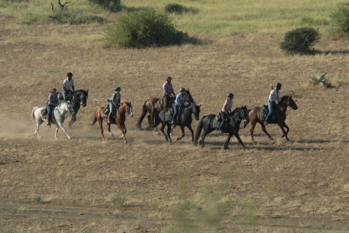 Le pays des géants - Tuli Riding Safari Botswana