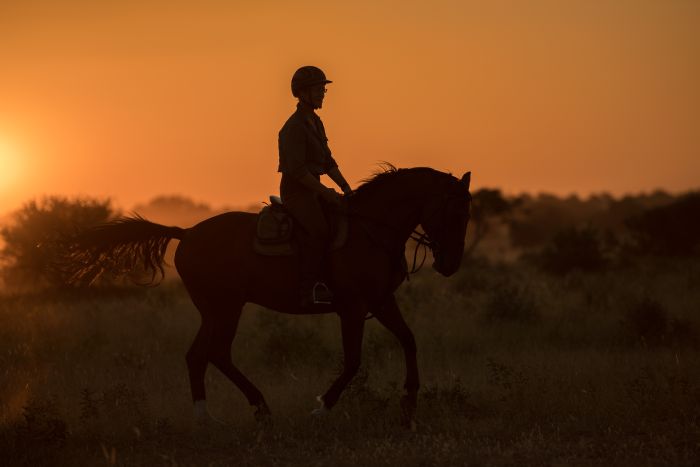 Le pays des géants - Tuli Riding Safari Botswana