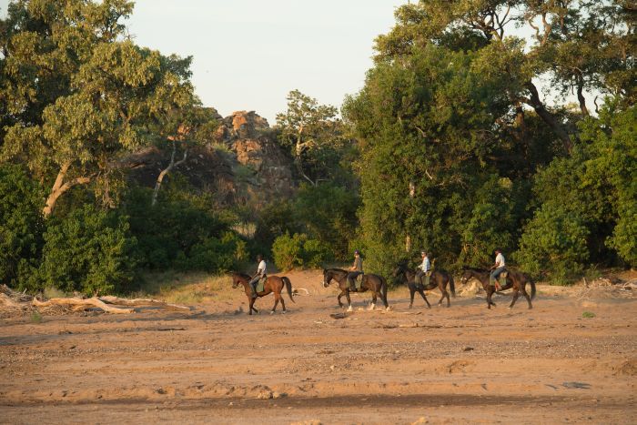 Le pays des géants - Tuli Riding Safari Botswana