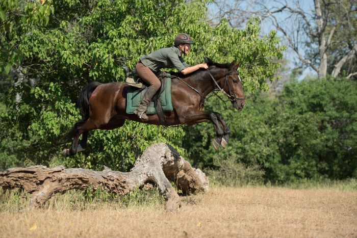 Le pays des géants - Tuli Riding Safari Botswana