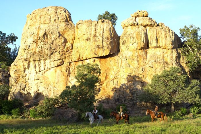 Le pays des géants - Tuli Riding Safari Botswana