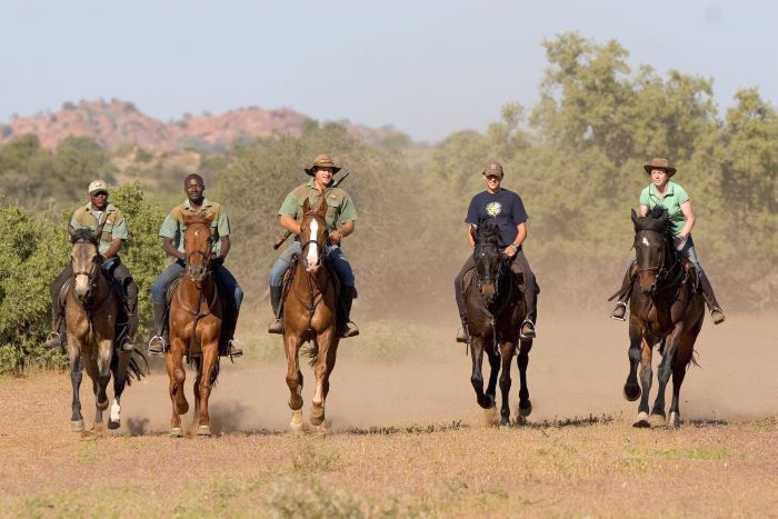 Le pays des géants - Tuli Riding Safari Botswana