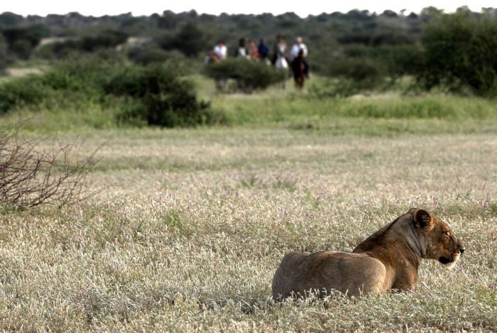 Le pays des géants - Tuli Riding Safari Botswana