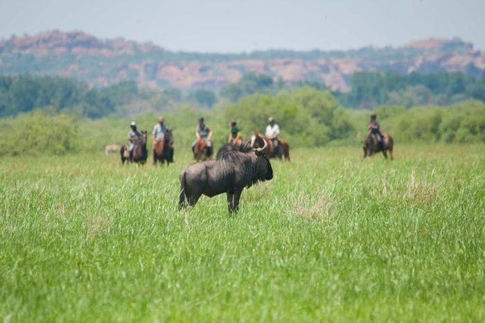 Le pays des géants - Tuli Riding Safari Botswana