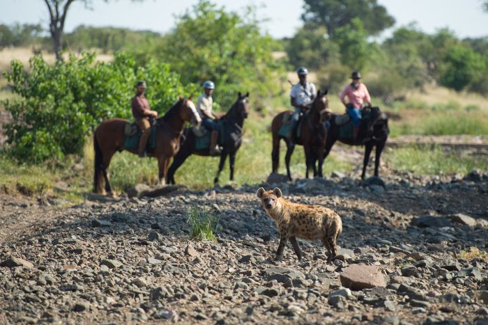 Le pays des géants - Tuli Riding Safari Botswana