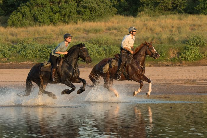 Le pays des géants - Tuli Riding Safari Botswana