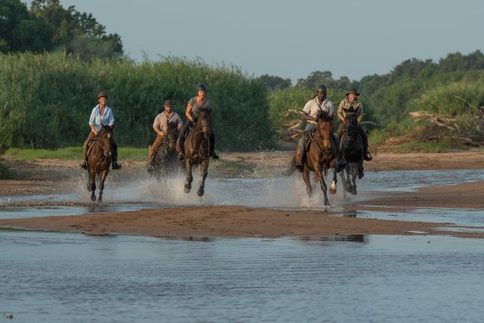 Le pays des géants - Tuli Riding Safari Botswana