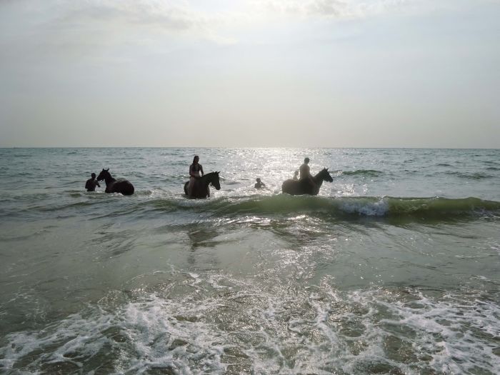 Randonnée de la savane à la mer