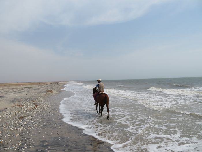 Randonnée de la savane à la mer