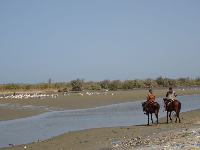 Randonnée de la savane à la mer