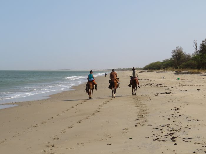 Randonnée de la savane à la mer