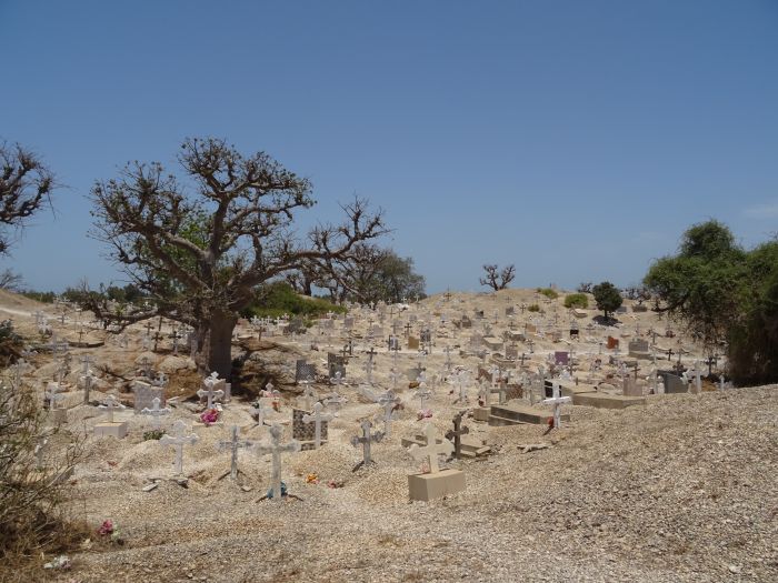 Randonnée de la savane à la mer