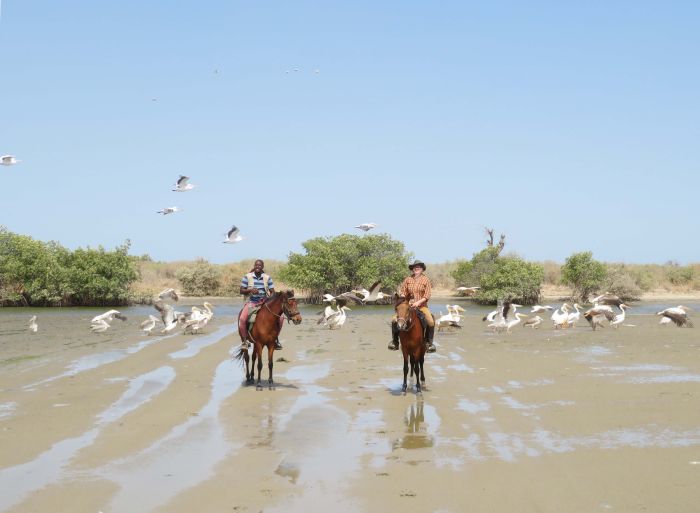 Randonnée de la savane à la mer